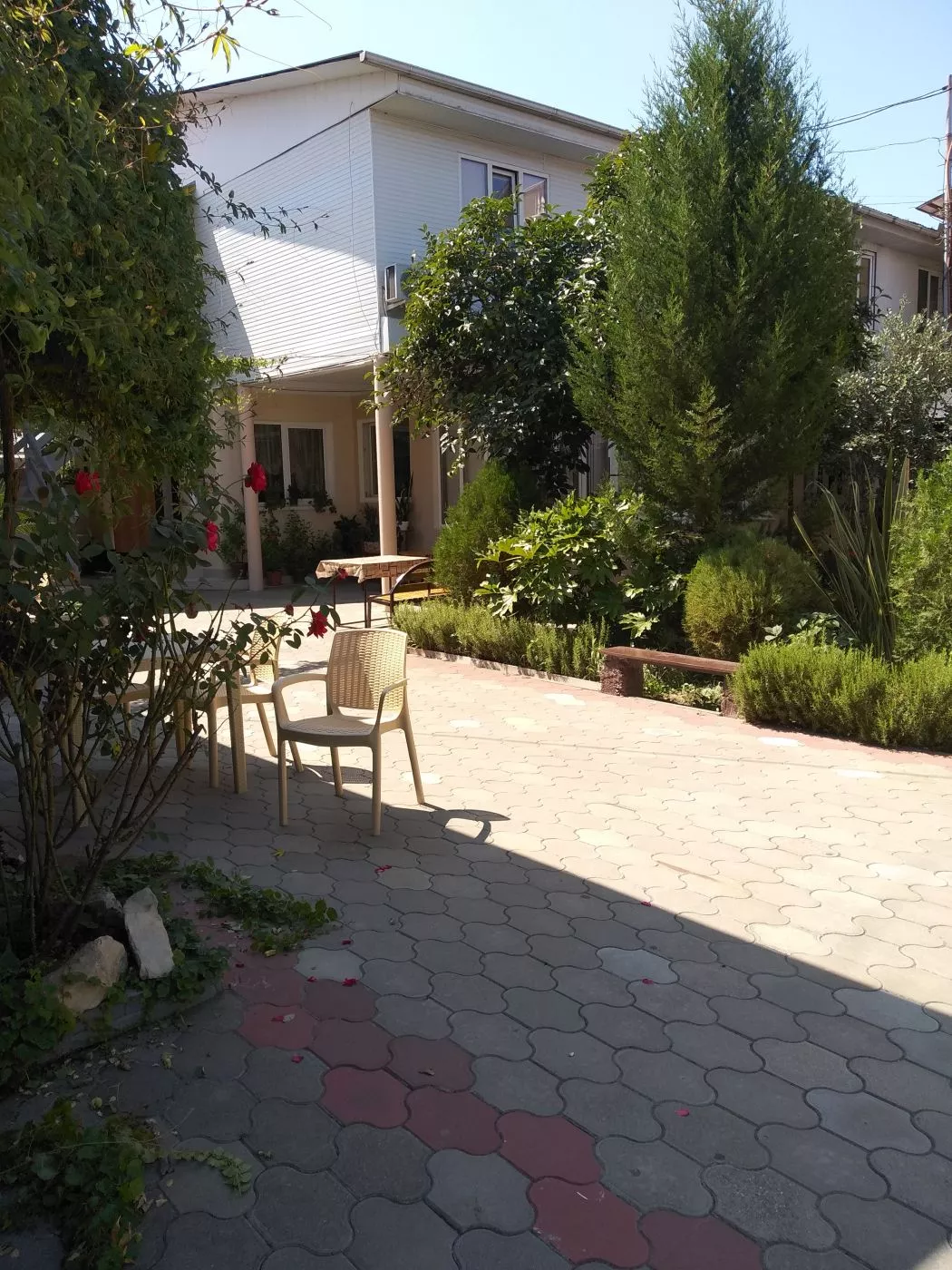 . Частный сектор "Пассифлора". Адлер