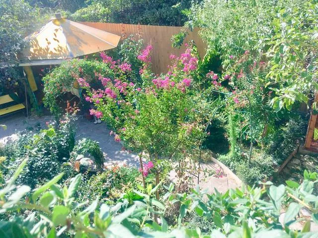 . Гостевой дом Алиса - Солоники. Солоники