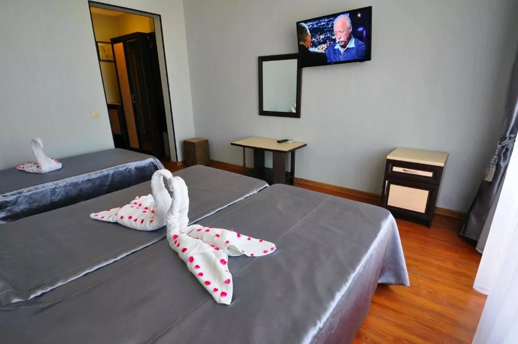 “Полулюкс” 3х-местный (доп. место). Отель "АТЛАС". Витязево