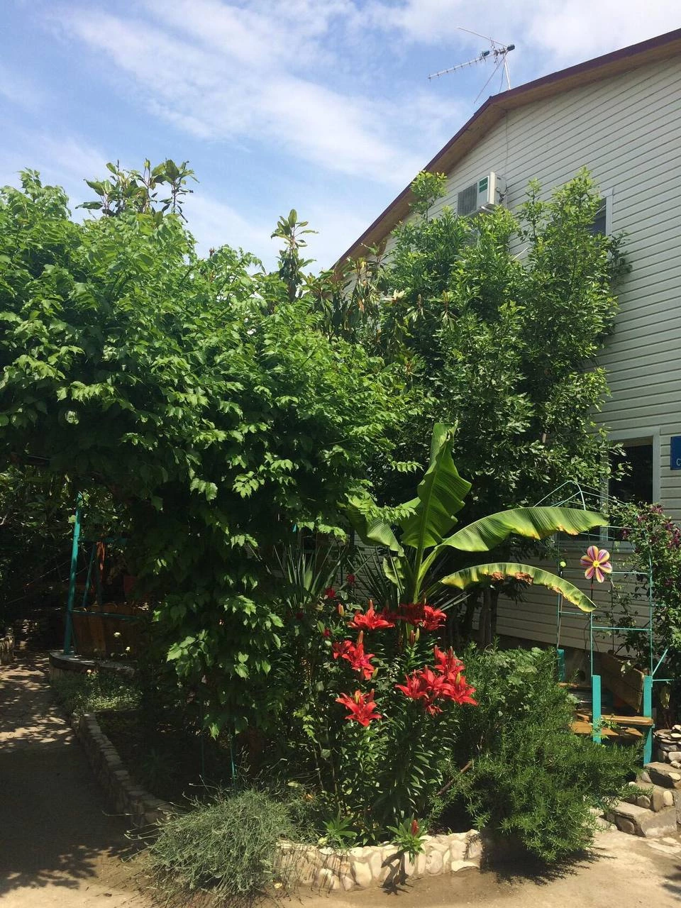 . Гостевой дом "Инжир". Новомихайловский