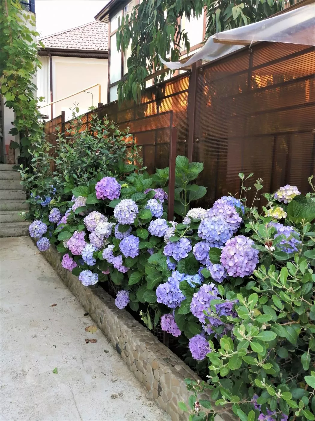 . Апартаменты "как дома". Сочи