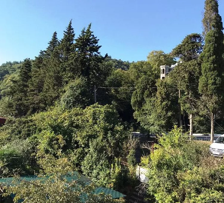 . Гостевой дом Зеленый рай. Солоники . Гостевой дом Зеленый рай. Солоники