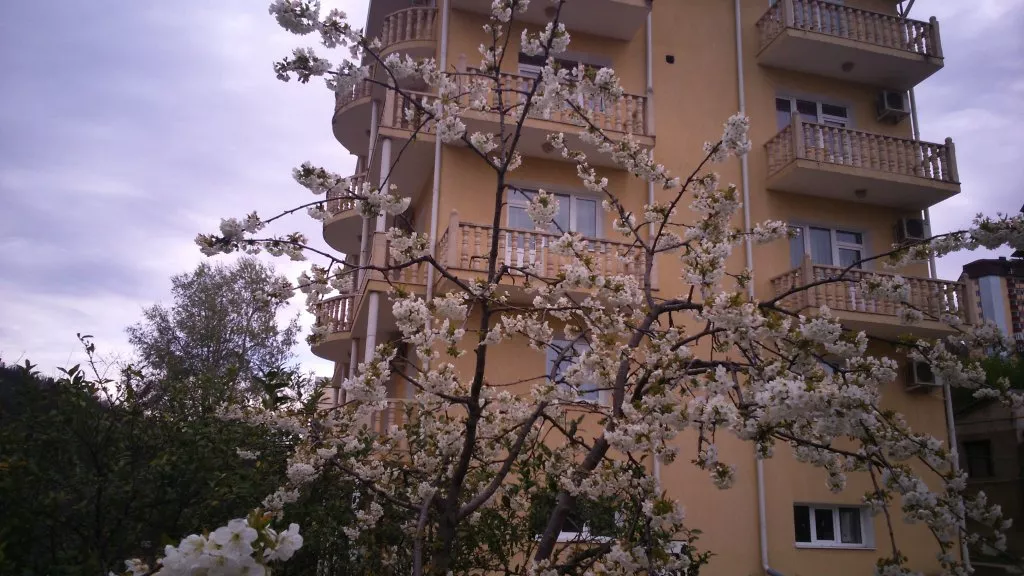 Гостевой дом "Маргарита" - Сочи