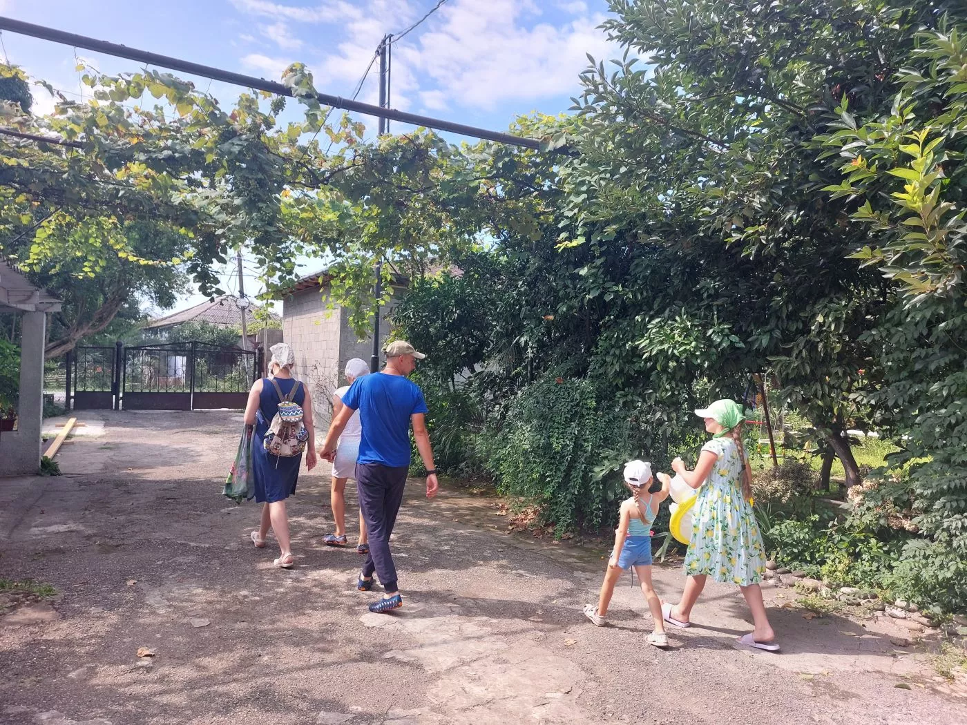 . Гостевой дом КАМЕЛИЯ. Пицунда