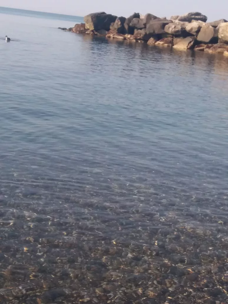 . Гостевой дом Рузанна . Лоо