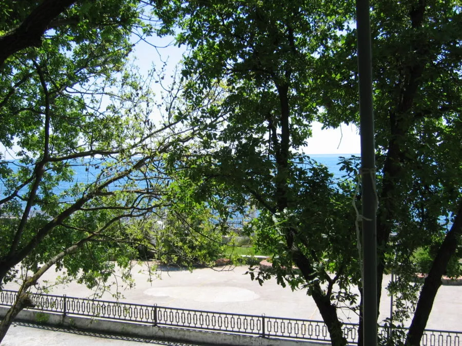 Эконом КОРПУС №10 (№4-5). Эко-отель «АЛЫЕ ПАРУСА». Солнечногорское