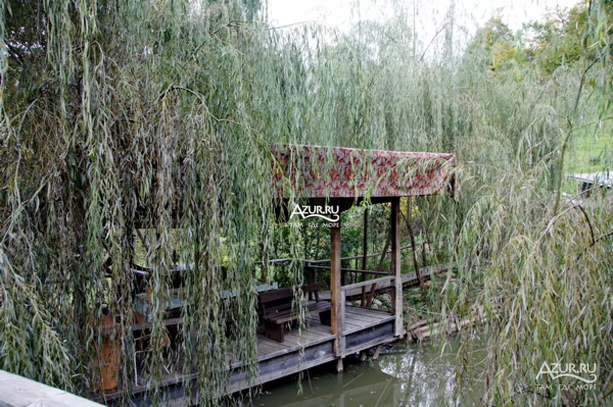 . База отдыха "Алексеевка". Лазаревское