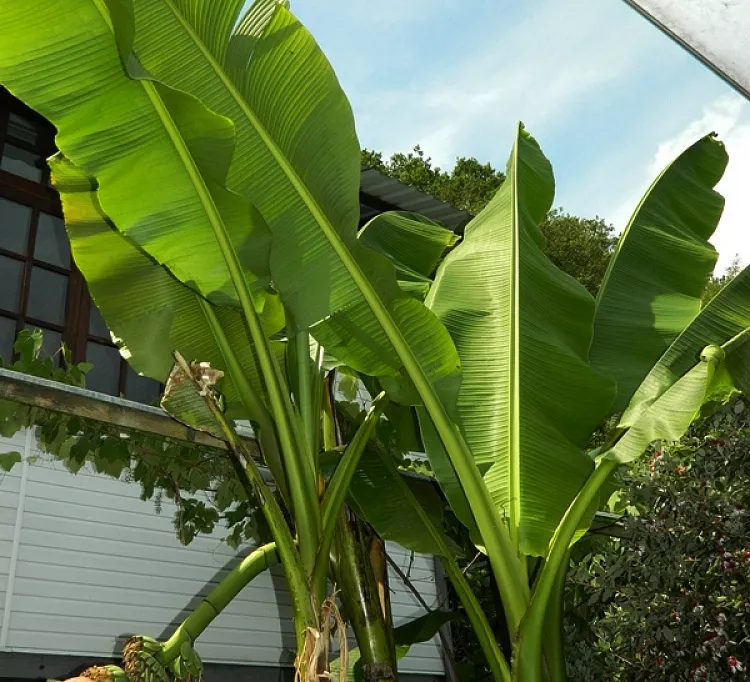 Гостевой дом Частный сектор "У Леса" Гостевой дом Частный сектор "У Леса"