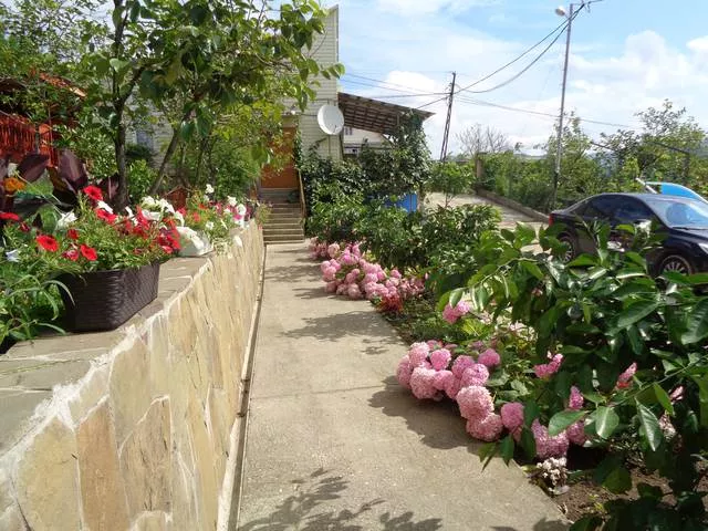 . Гостиница "Верона". Вардане