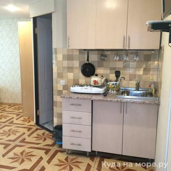 4-местные 1-комнатные апартаменты с кухней. Гостевой дом Алиса - Солоники. Солоники