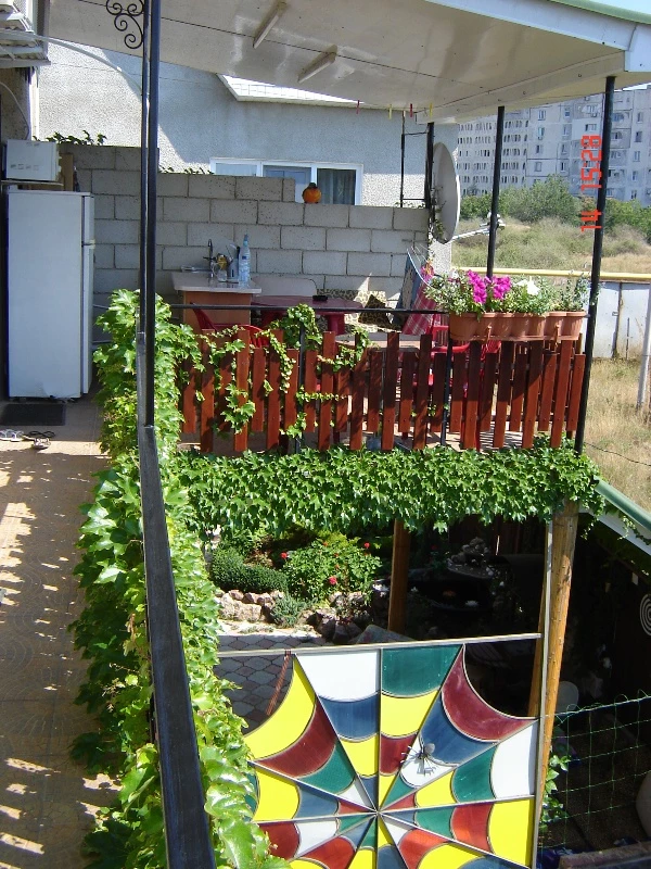 . Гостевой дом "Паутинка". Севастополь . Гостевой дом "Паутинка". Севастополь