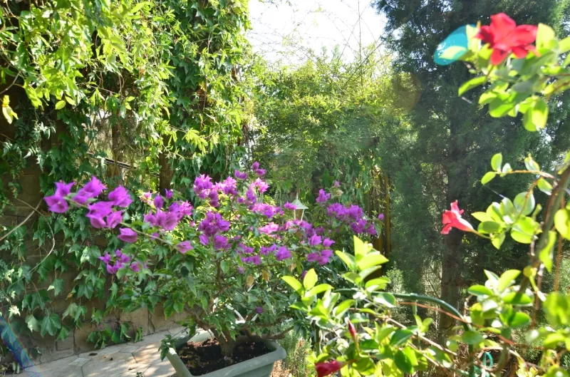 . Пансионат "Вилла-Луиза". Рыбачье