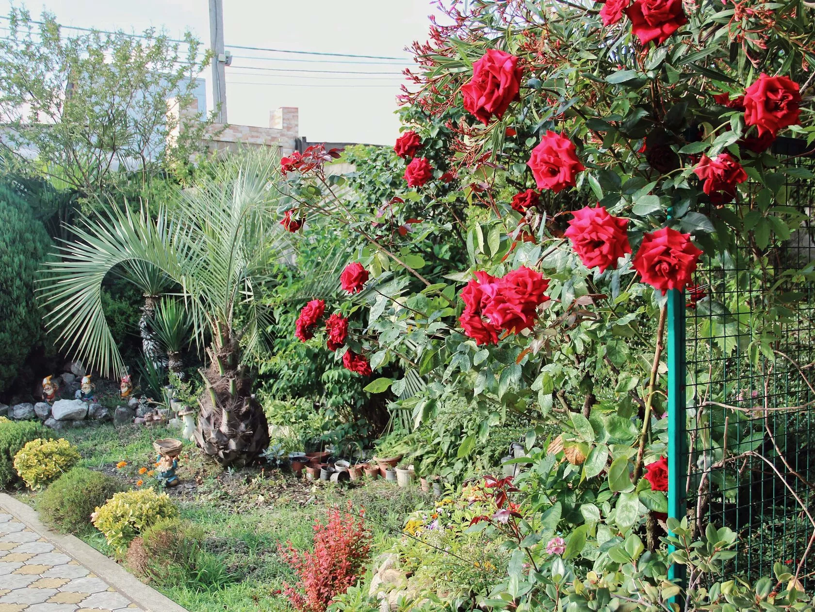 . Апарт-отель “Planeta MOV”. Адлер