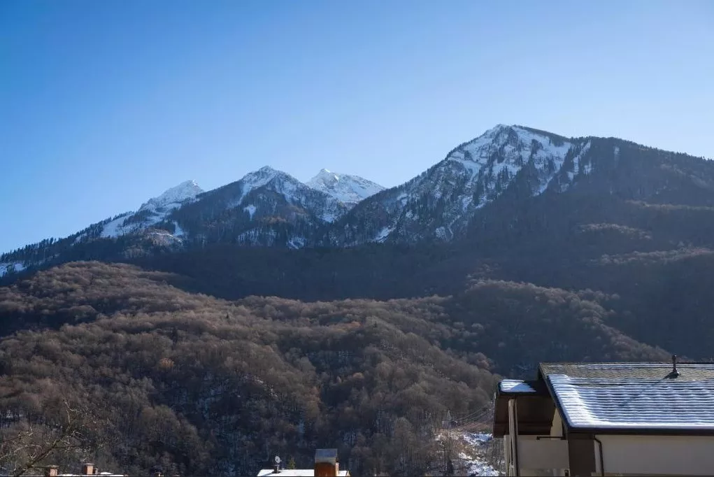 . Апарт-отель Steford Aparts. Красная Поляна