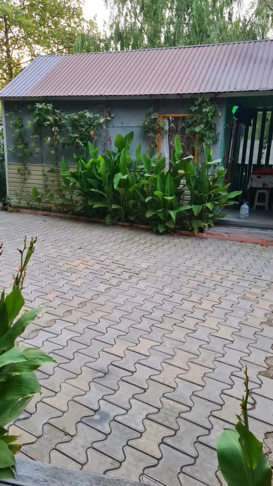 . База отдыха "ГОРИЗОНТ". Анапа . База отдыха "ГОРИЗОНТ". Анапа