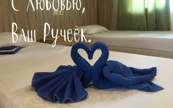 Эконом 2-х местный. База отдыха  "Ручеек"     . Джубга