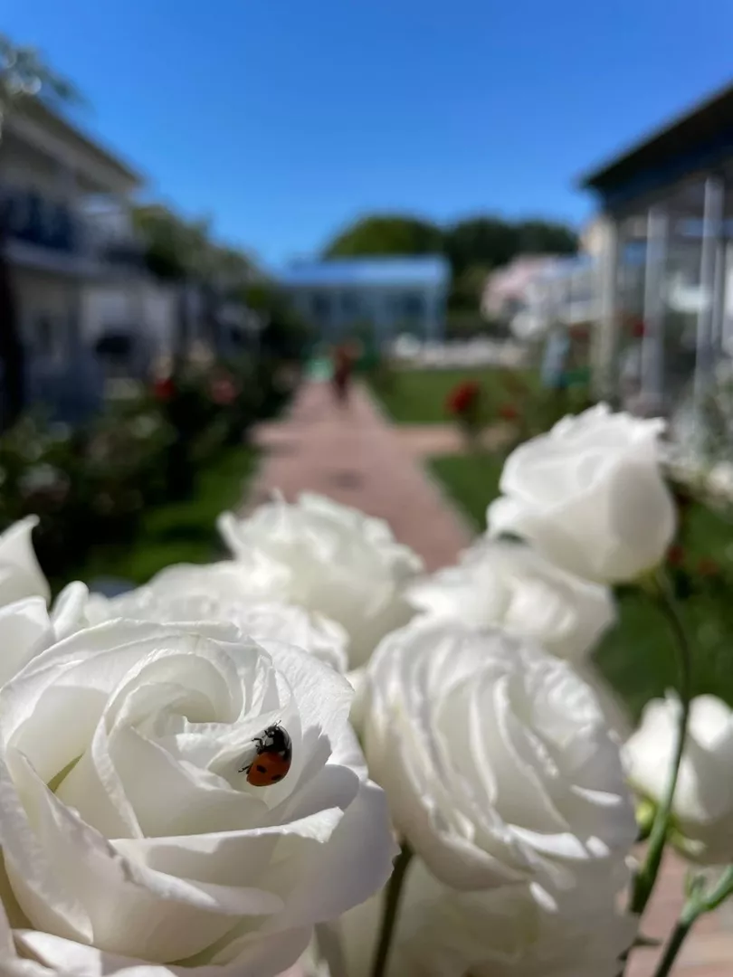 . База отдыха «Здоровье». Нижнее Джемете