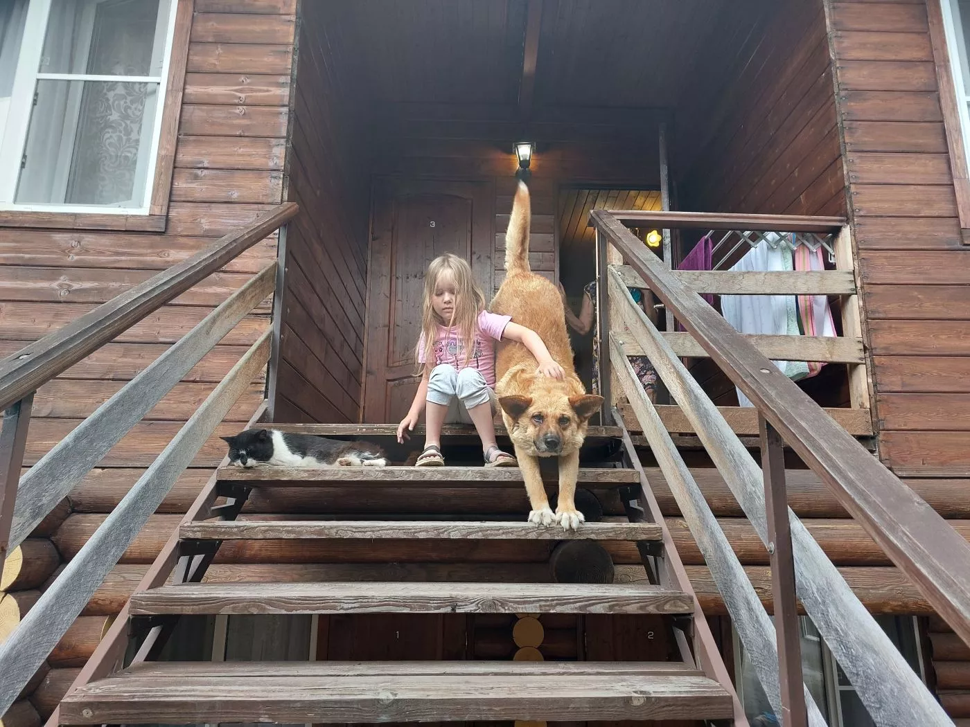 . Гостевой дом КАМЕЛИЯ. Пицунда