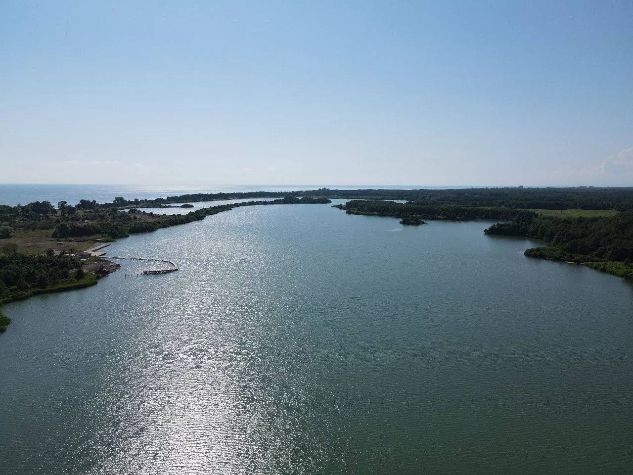 . База отдыха Сосновый бор. Сухум