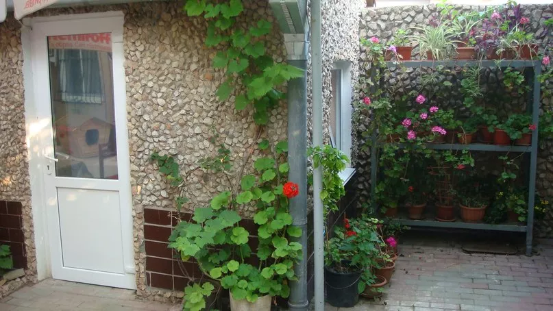 . Частный сектор Александра. Заозерное