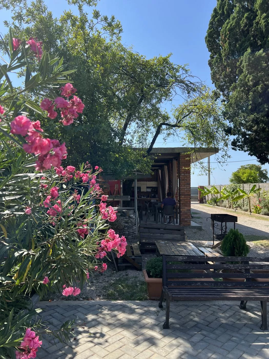 . Гостевой комплекс Шезлонг . Гудаута