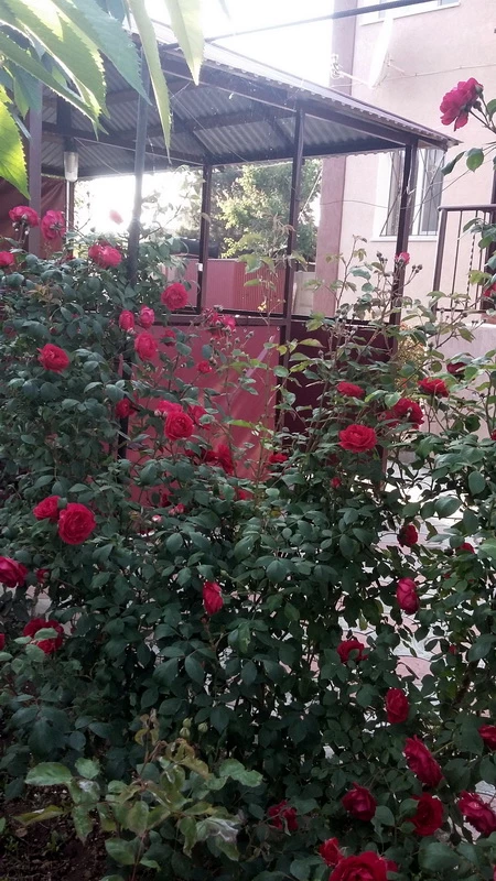 . Дом под-ключ Качинское шоссе 8 . Севастополь