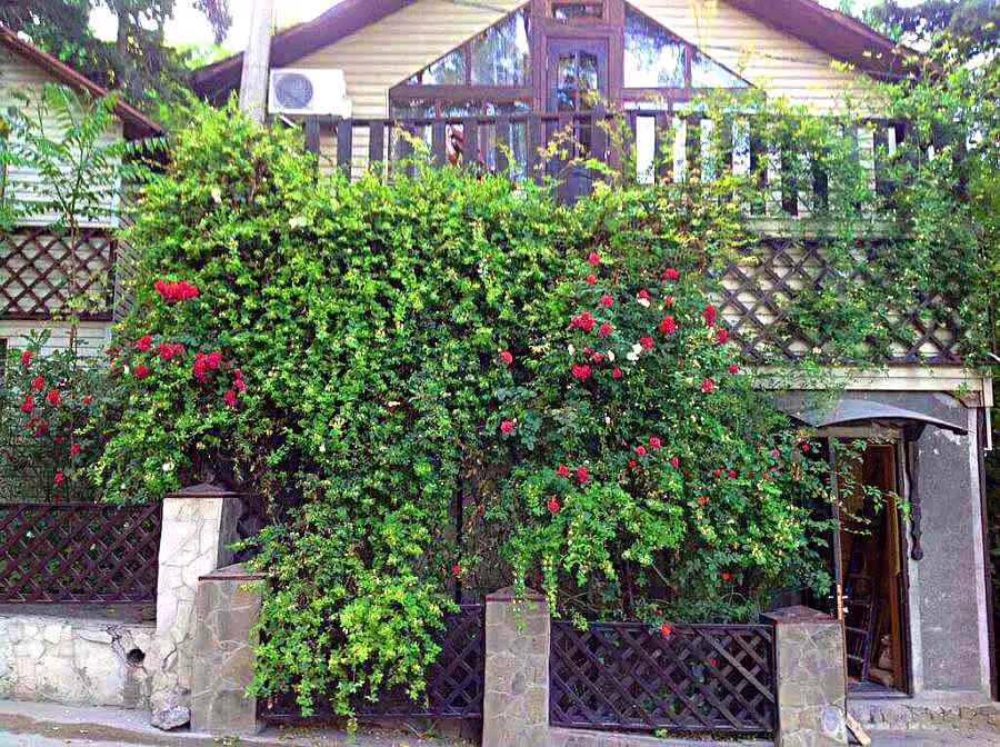 Коттедж Надежда