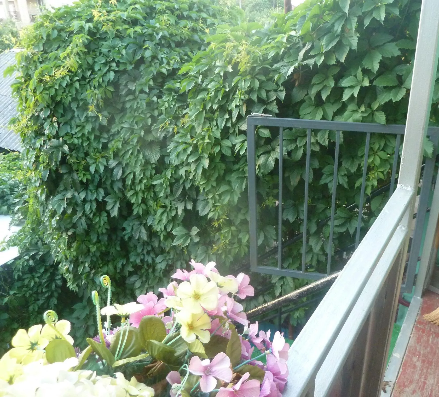 . Частный сектор У Марины. Ейск