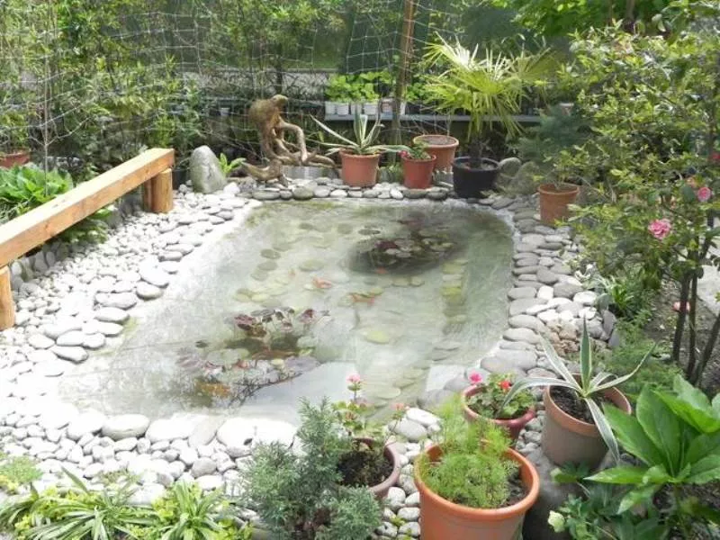 . Частный сектор Экзотический рай. Головинка