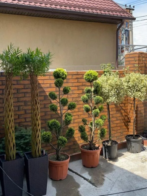 . Гостевой дом "На Православной, 20". Адлер