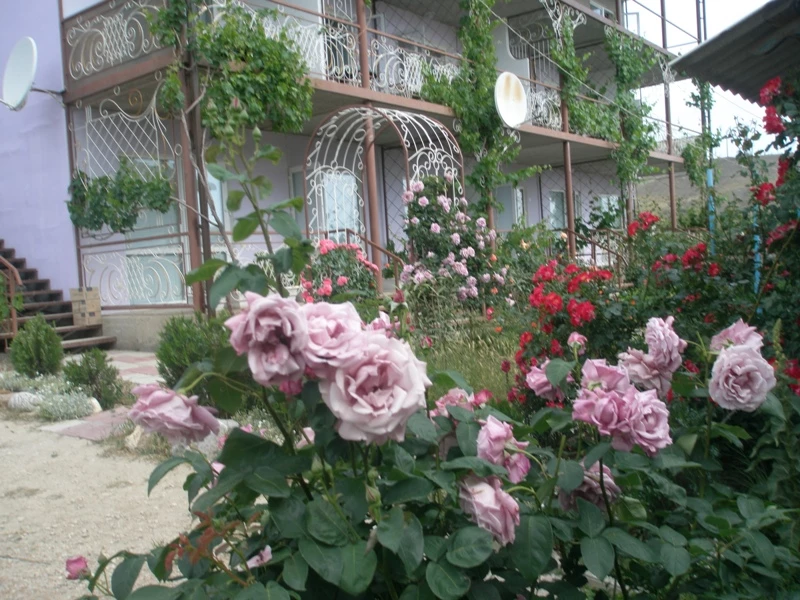 . Гостевой дом ТеремОК - Коктебель. Коктебель