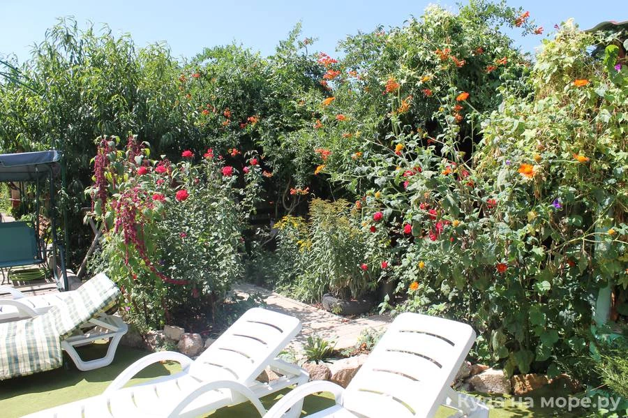 . Гостевой дом Наш дом отдыха. Симферополь