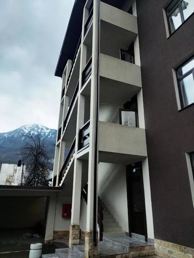 . Апарт-отель "Благодарный круглый год". Красная Поляна