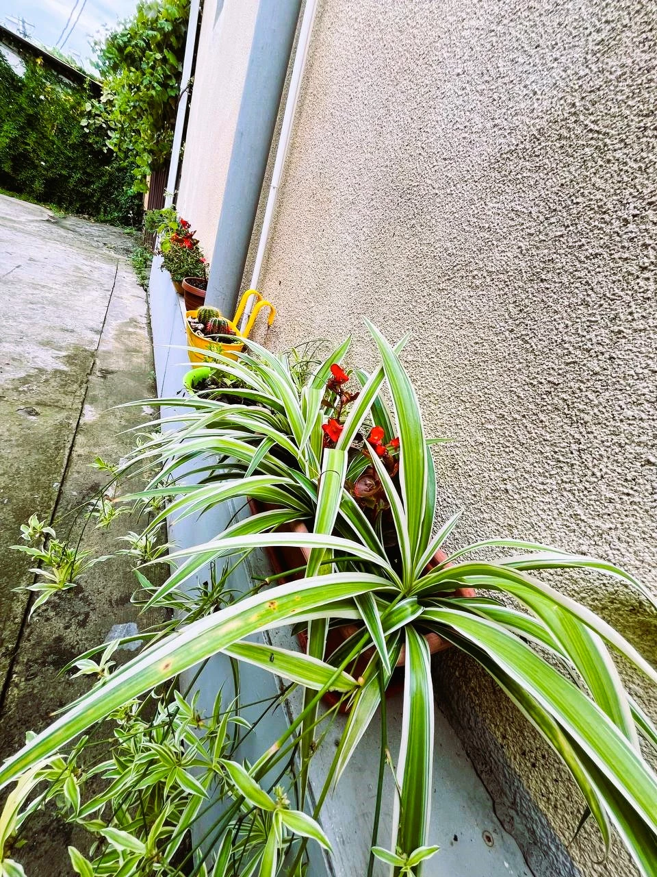 . Отель "Гермес" . Вардане