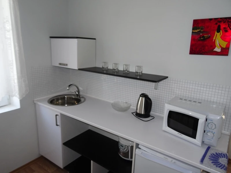 Апартаменты с кухней. Вилла "Вояж". Саки