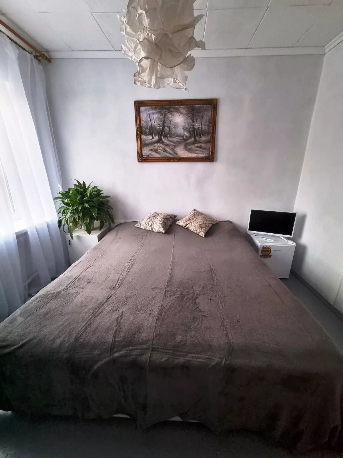 . Гостевой дом Сочи, ул.Юннатов 2а, "Мечта". Совет-Квадже