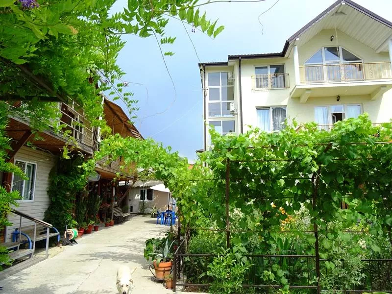 Гостевой дом Сухумское шоссе 63 Гостевой дом Сухумское шоссе 63