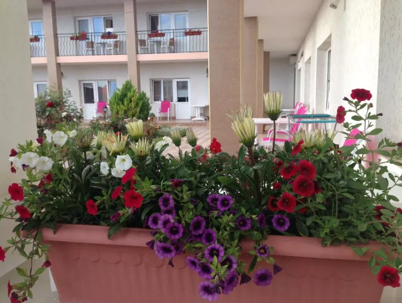 . Гостевой дом "Анастасия". Заозерное