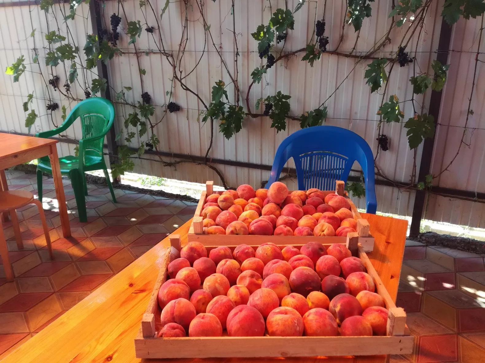 . Частный гостевой дом Касабланка. Кучугуры