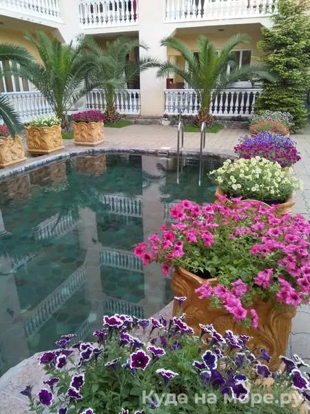 . Семейный клуб-отель «Мадагаскар». Дагомыс