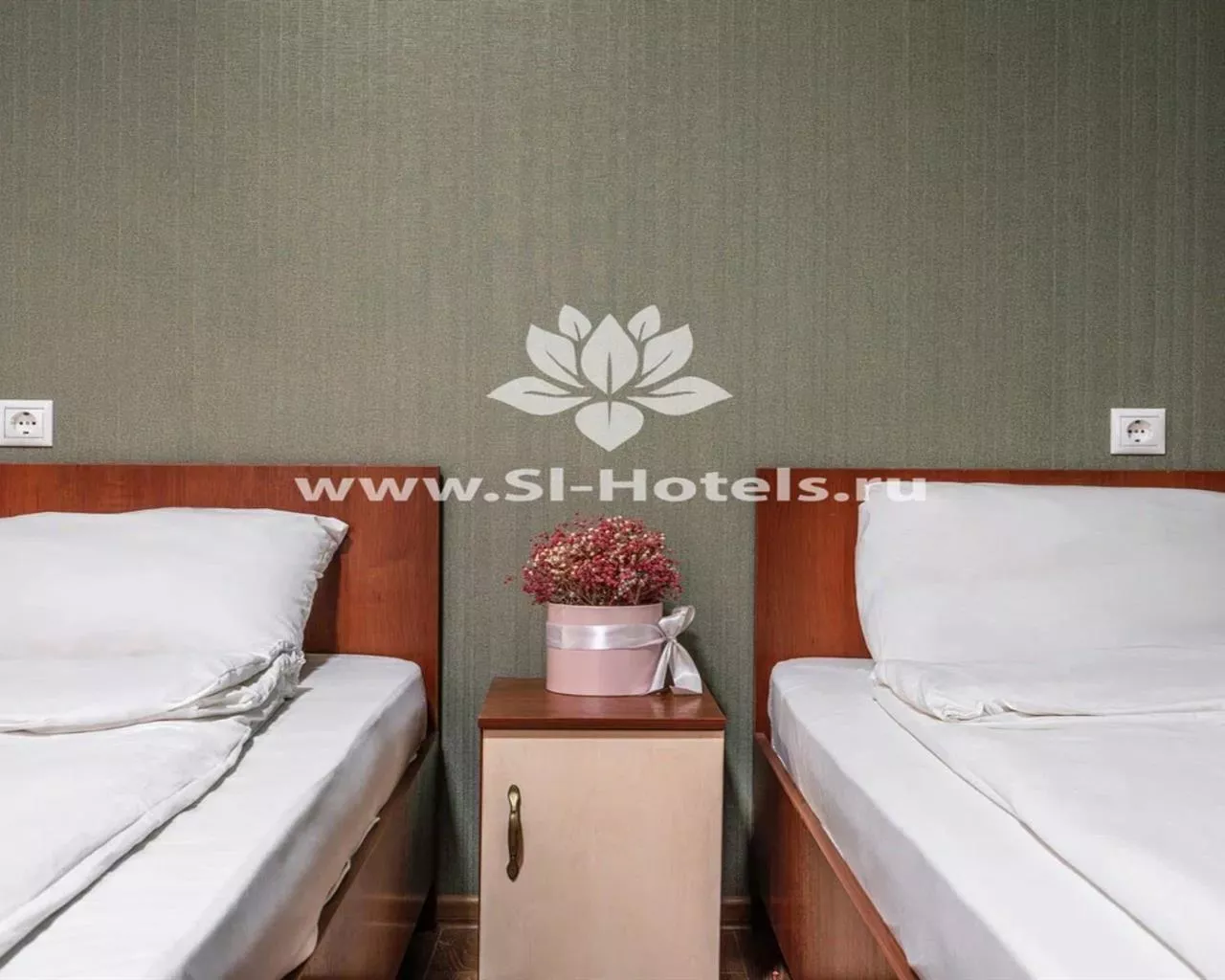 . Гостевой дом Солнечный - Дагомыс. Дагомыс