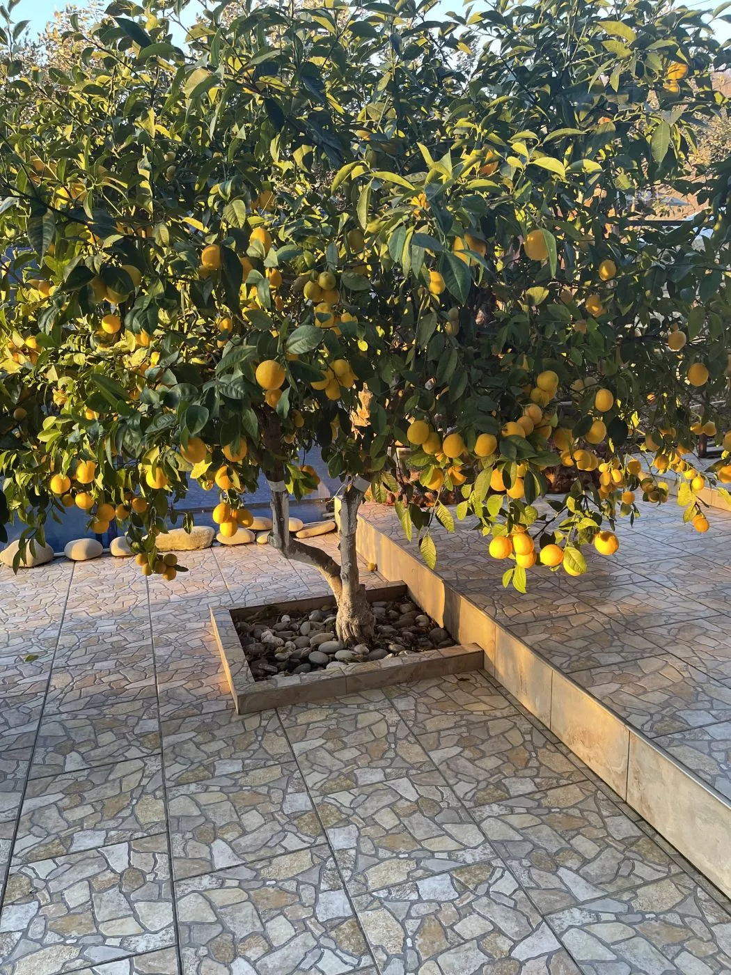 . Гостевой дом LooRoom (studio). Лоо