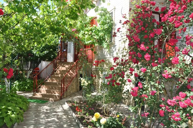 . Гостевой дом "Семейный отдых" - Витязево. Витязево