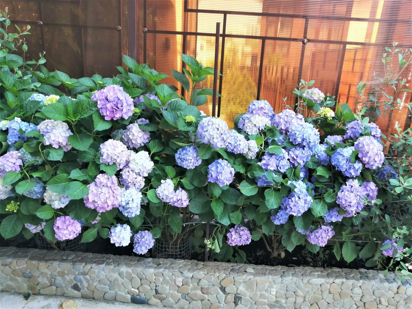 . Апартаменты "как дома". Сочи