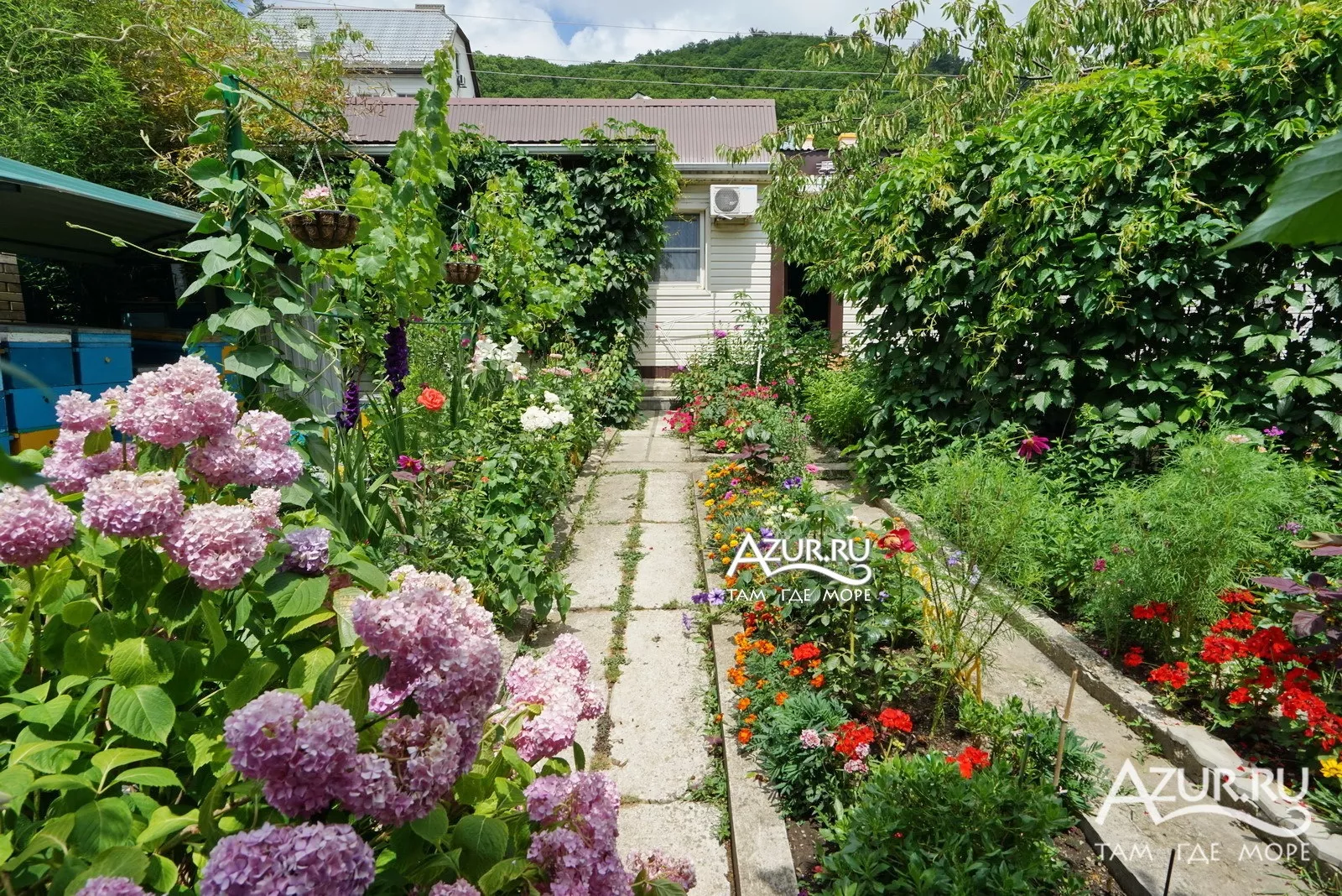 . Гостевой дом "У Светланы" в Ольгинке      . Ольгинка