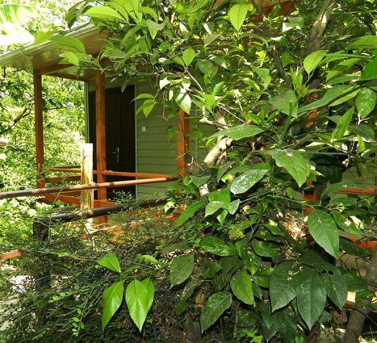 . Гостевой дом Частный сектор "У Леса". Солоники