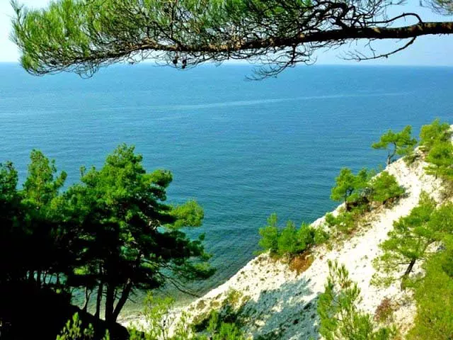 Фото из Сосновой рощи взято с сайта: http://ru-kurort.ru/