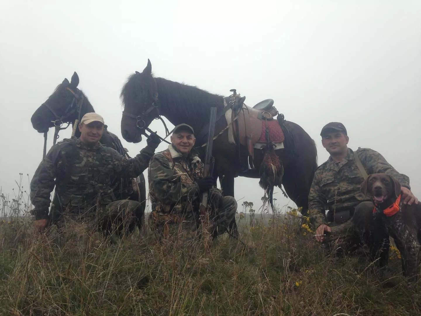 . Гостевой дом "Александровский". Темрюк