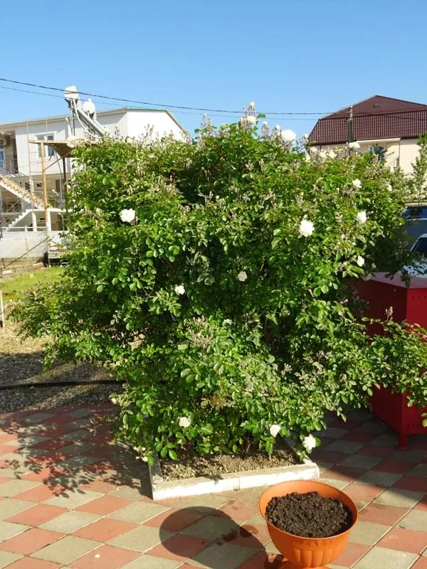 . Частный сектор Аделина. Лермонтово