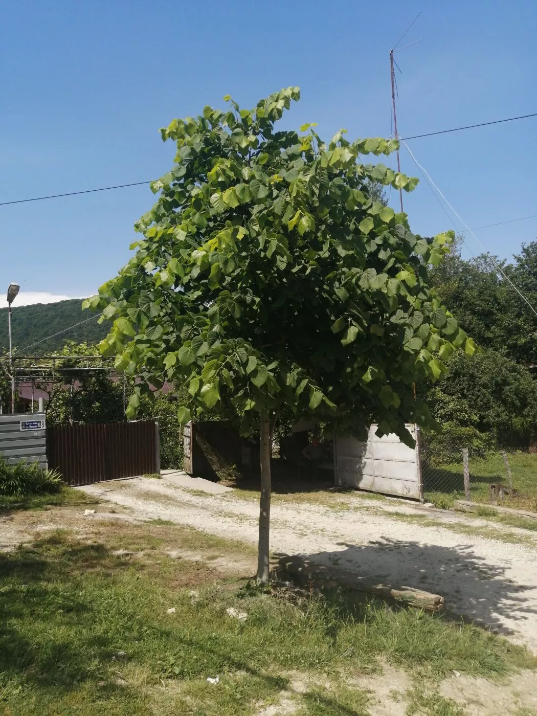 . Частный сектор Лавровый лист. Новый Афон